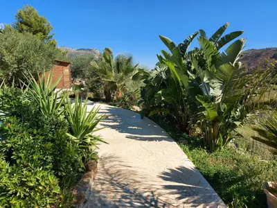 a path in the middle of a garden with palm trees at La Suite Di Segesta in Calatafimi