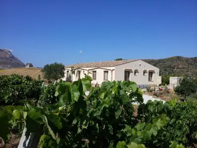 a house in the middle of a field of grapes at La Suite Di Segesta in Calatafimi
