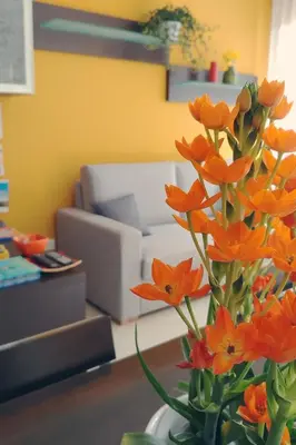 a vase with orange flowers in a living room at Bed & Breakfast Tiziana in Castellammare del Golfo