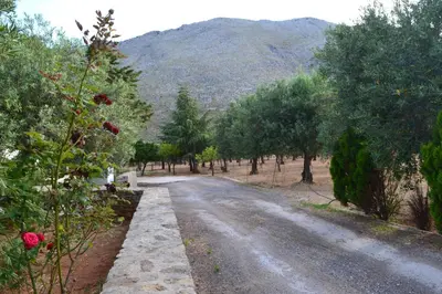 a dirt road with trees and a mountain in the background at La Giara San Vito Lo Capo in Castelluzzo