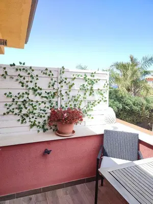 a plant in a pot on a wall on a patio at Casa vacanze Isolotto in Isola delle Femmine