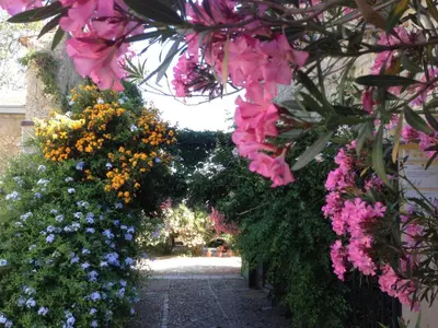 a garden with colorful flowers and a walkway at Agriturismo Ridocco in Corleone