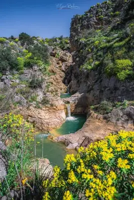 a river in a rocky canyon with yellow flowers at DREAM CORLEONE in Corleone