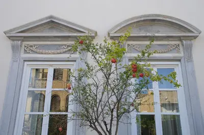 a white house with two windows and a tree in front at La Kalsa Charming Maison in Palermo