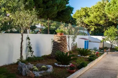 a garden with cacti and plants next to a fence at B&B 