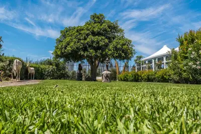 a field of grass with a tree and a building at B&B Le Dune - Self Check in in Lascari