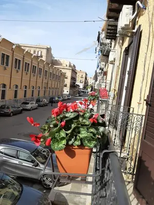 a balcony with a pot of flowers on a street at A Casa di Josephine in Palermo