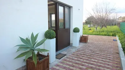 a front door of a house with a potted plant at casa tre noci in Lascari
