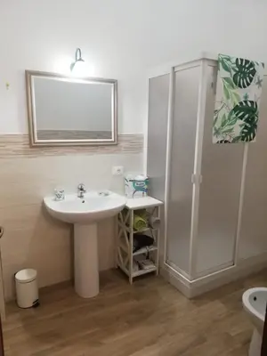 a bathroom with a sink and a shower at NONNA MARIA Apt 1 or Apt 2 in Terrasini