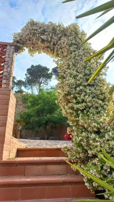 an archway with a bunch of flowers and stairs at Villa Verde in Cefalù