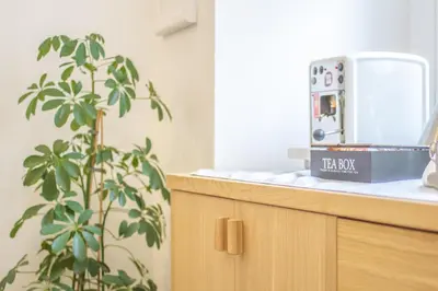a microwave sitting on top of a counter next to a plant at B&B Babbaluci - Centro Storico in Palermo