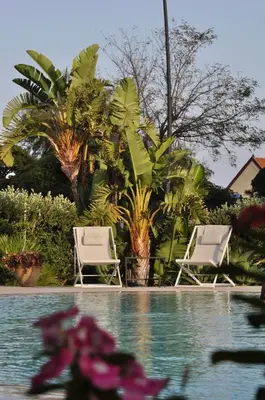 two chairs and a swimming pool with palm trees at Villa Masetta - Luxury Suites in Mondello