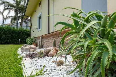 a rock garden in front of a house at Villa Alma in Campofelice di Roccella