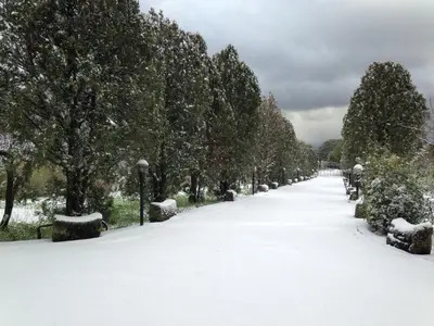 a snow covered path in a park with trees at Villa Calcerame in Montelepre