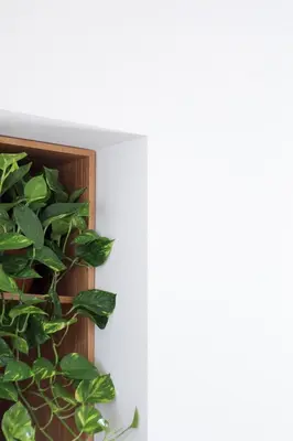a green plant on a white wall next to a window at Pànto - Rooftop boutique rooms in Palermo