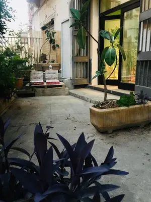 a courtyard with a house with a potted plant at ne mia in Palermo