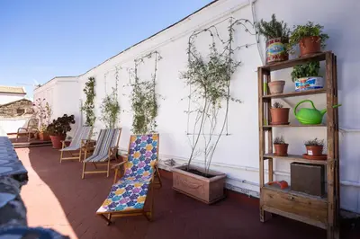 a patio with potted plants on a white wall at Casa Particular Luxury in Palermo