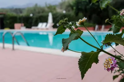 a plant in front of a swimming pool at Il Casale il Sole e la Margherita in Campofelice di Roccella