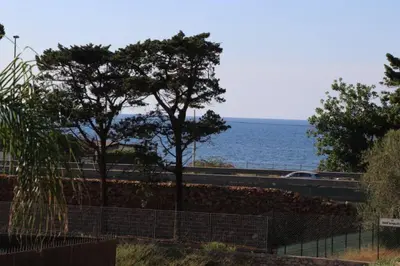 a fence with two trees next to the ocean at Villa Cavalluccio Marino con piscina idromassaggio in Carini
