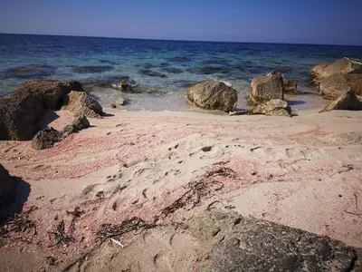 a sandy beach with rocks and the ocean at Casa vacanza da Samuele in San Vito lo Capo