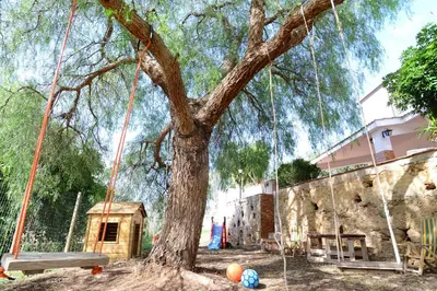 a tree with swings in front of a building at Villa Trappeto in Trappeto