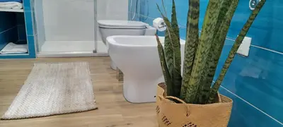 a bathroom with a toilet and a potted plant at Terra Sinus Beautiful Suite in Terrasini