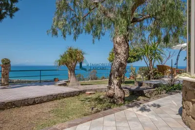 a group of trees with a view of the ocean at Villa Panorama in Cefalù