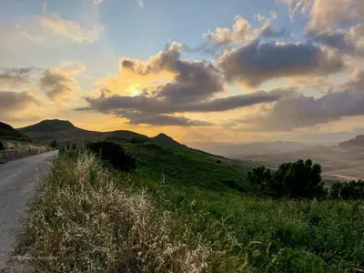 a road in the middle of a field with a sunset at Corleone GUESTHOUSE in Corleone