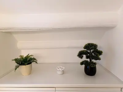three potted plants sitting on a white shelf at Diatomea in Palermo