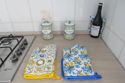 two oven mitts sitting on a kitchen counter next to a stove at Sofi apartment in Palermo