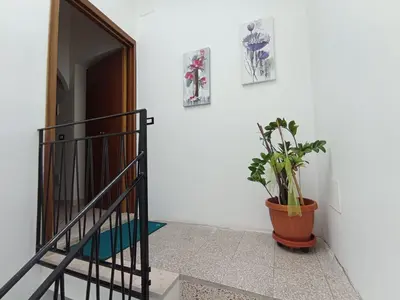a staircase with a potted plant next to a door at Sandro Apartment in Castellammare del Golfo