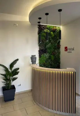 a lobby with a large vertical garden on the wall at Kristal in San Vito lo Capo