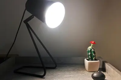 a lamp sitting next to a cactus in a room at Gabry central apartment Palermo in Palermo