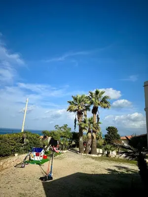 a beach with palm trees and a swing at Kòre rooms in Castellammare del Golfo