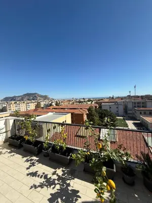 a view from the roof of a building with plants at B&B Bellavista in Palermo
