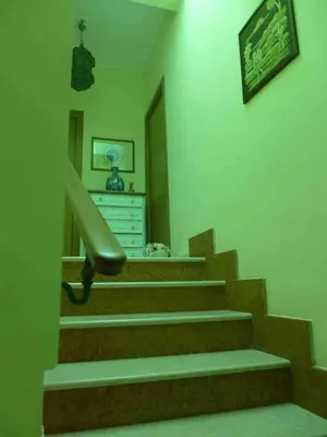 a stairway with green walls and brown stairs with a hand rail at mondello lilla' room in Palermo