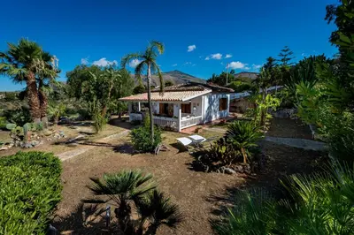 a house with palm trees in front of it at NUOVA Villa Intera Guidaloca in Scopello