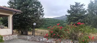 a house with a garden with red flowers and a fence at Flyhouse PARCHEGGIO AUTO BICI GRATUITO in Piana degli Albanesi