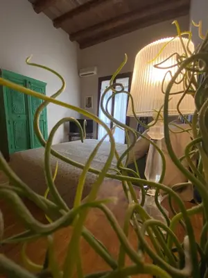 a plant in a room with a table and a lamp at Casa Vetriera in Palermo