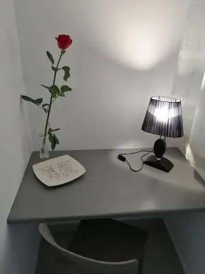 a desk with a vase with a flower and a lamp at Momenti e Monumenti in Palermo