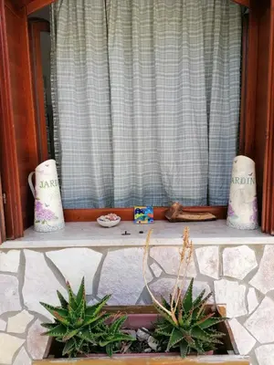a window sill with two plants in front of a window at Villa Maricetta in Castellammare del Golfo