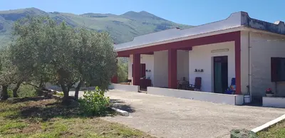 a white house with a tree and mountains in the background at Villa Andrea in Scopello