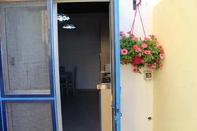 an open door with a potted plant on a wall at Dolce Casa in Palermo