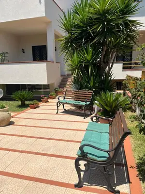 two benches sitting in a courtyard with palm trees at Trentuno Mondello Apartments in Mondello
