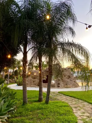two palm trees in a park with a pathway at Holiday in Paradise in Balestrate