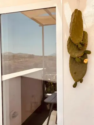 a cactus hanging on a wall next to a window at Baglio Colonna - Nature Noble Boutique in Partinico