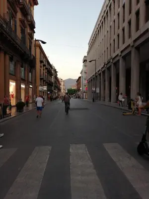 a person riding a bike down a city street at suite ruggero settimo in Palermo