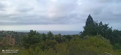 a view of a forest of trees on a hill at House Italia Holiday in Trabia