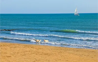 two dogs walking in the water on the beach at 2 Bedroom Amazing Apartment In Trappeto in Trappeto