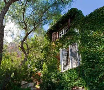 an ivy covered building with a window and a tree at Il Glicine sul Golfo in Mondello